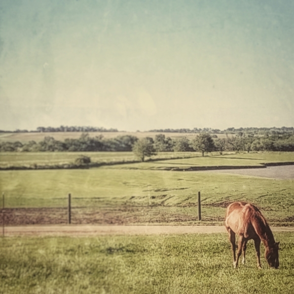 Meet your Posher, Karla - Picture 2 of 11